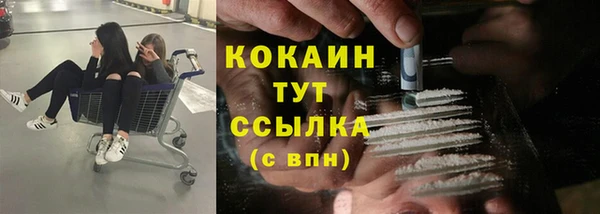 мяу мяу мука Майский