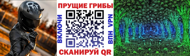 Псилоцибиновые грибы GOLDEN TEACHER  Новая Усмань 